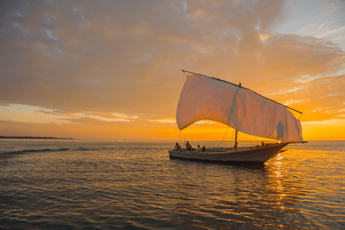 Klik op de afbeelding voor een vergroting gbp-rps-malawi-2017-1058.png