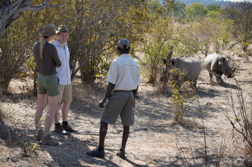 thorntree river lodge mosi oa tunya excursie.png