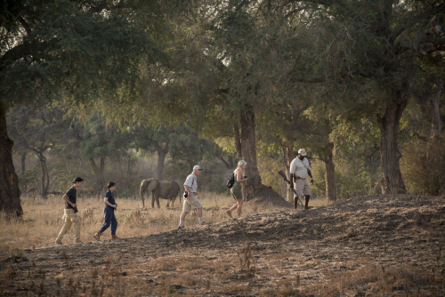 zambezi expeditions wandel safari.png