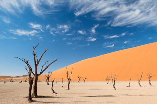 Klik op de afbeelding voor een vergroting sossusvlei011.png