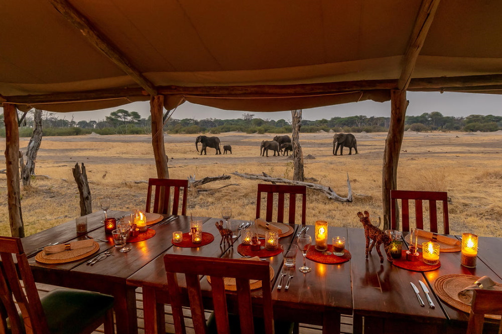 the hide diningroom.jpg