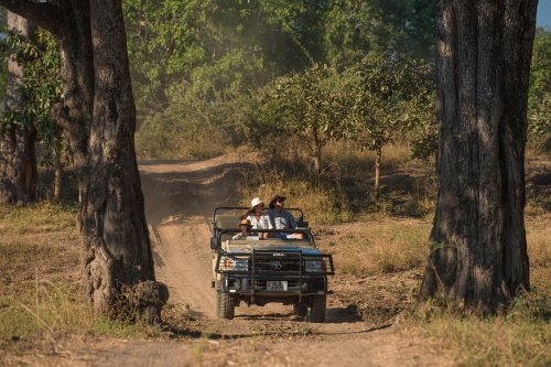 Klik op de afbeelding voor een vergroting gbp-rps-luangwa-2017-1381.jpg