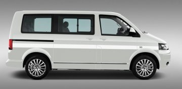 avis za cat n.jpg