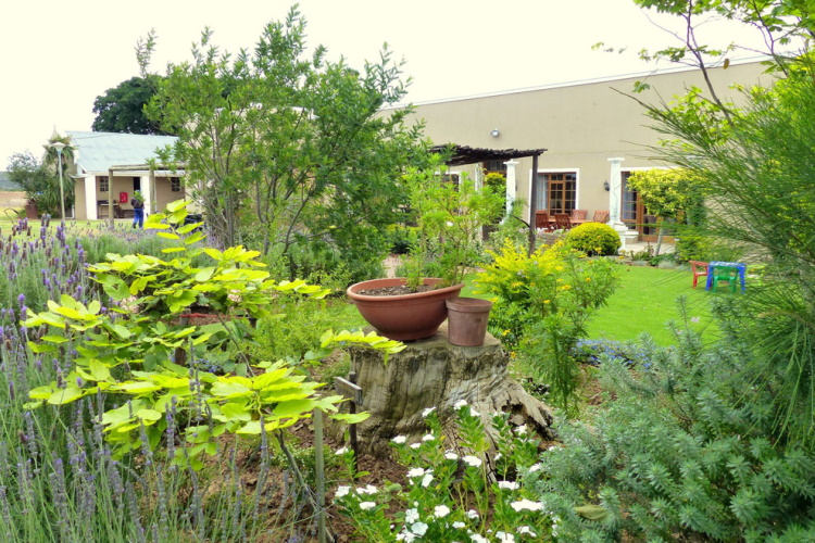 the kraal addo tuin.jpg