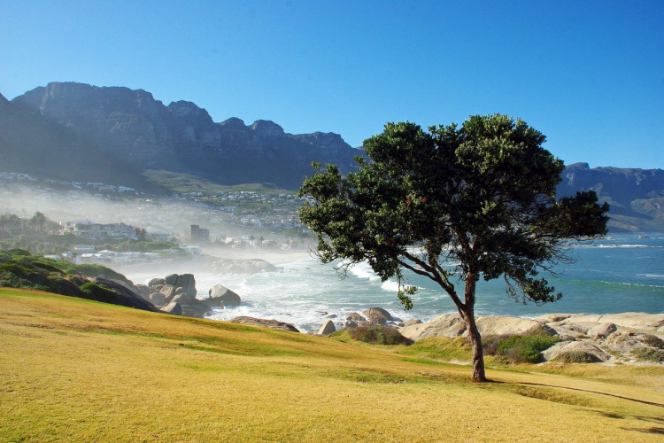 wild coast.jpg