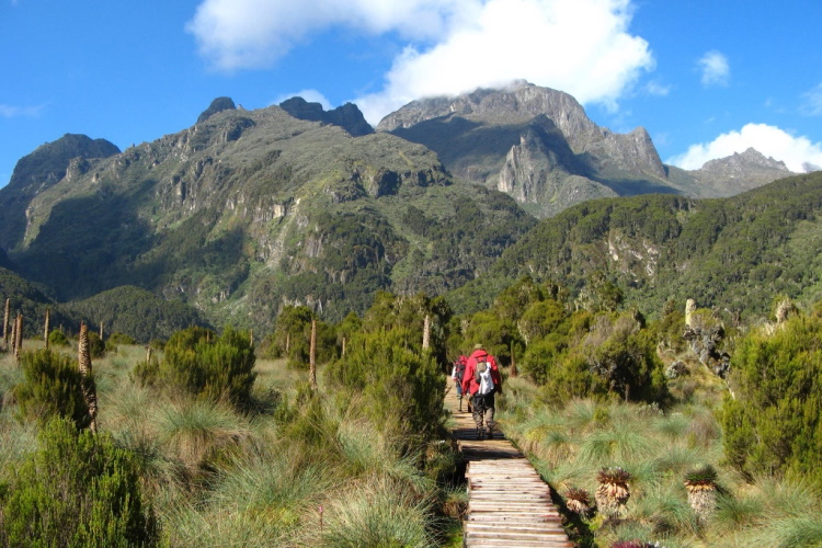 rwenzori mountains national park.jpg