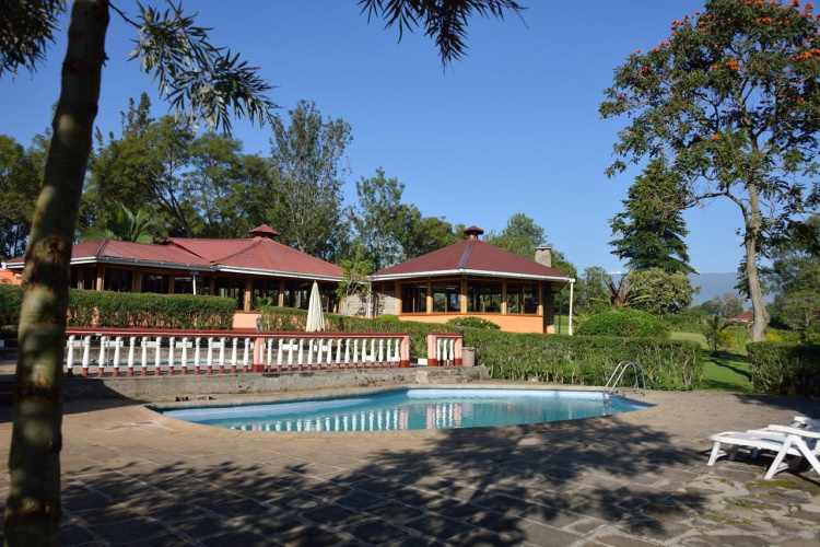 kluges guest farm zwembad.jpg