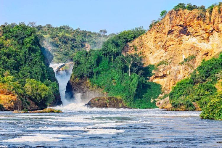 Klik op de afbeelding voor een vergroting murchison falls 011.jpg