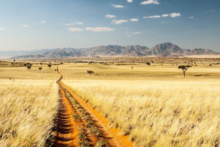 Klik op de afbeelding voor een vergroting namib desert 002.jpg