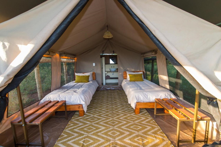 zululand lodge tent.jpg
