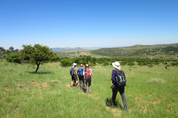 wandelreis zuid-afrika south africa kzn battlefields.jpg