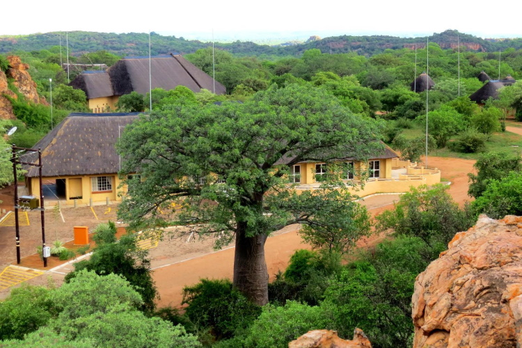 awelani lodge terrein.jpg