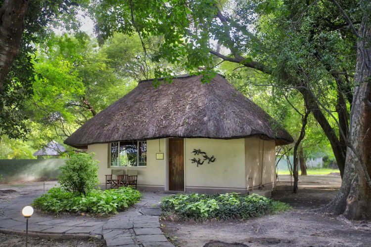 island safari lodge chalet.jpg