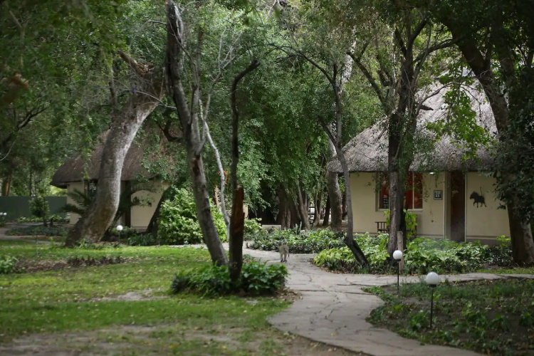 island safari lodge tuin.jpg