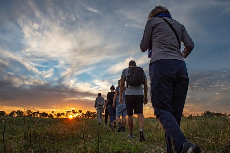 Klik op de afbeelding voor een vergroting botswana okavango 015.jpg