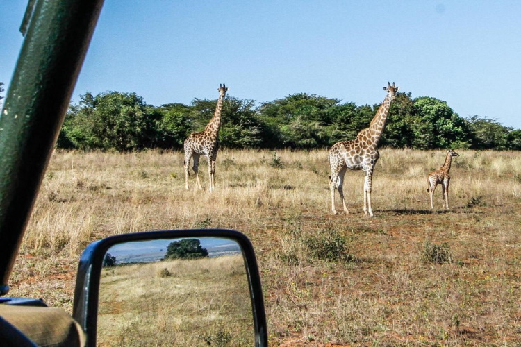 ezulwini game lodge omgeving.jpg