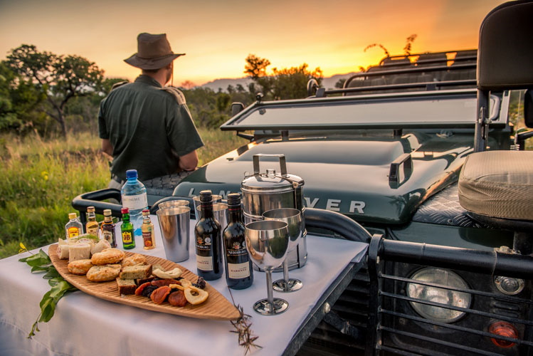 karongwe chisomo safari.jpg