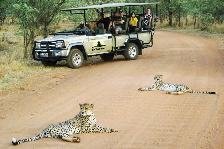 entabeni game reserve 001.jpg