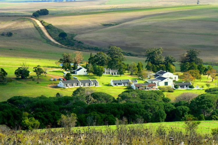 stanford valley guest farm omgeving.jpg