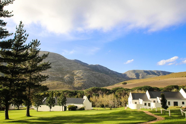 stanford valley guest farm terrein.jpg