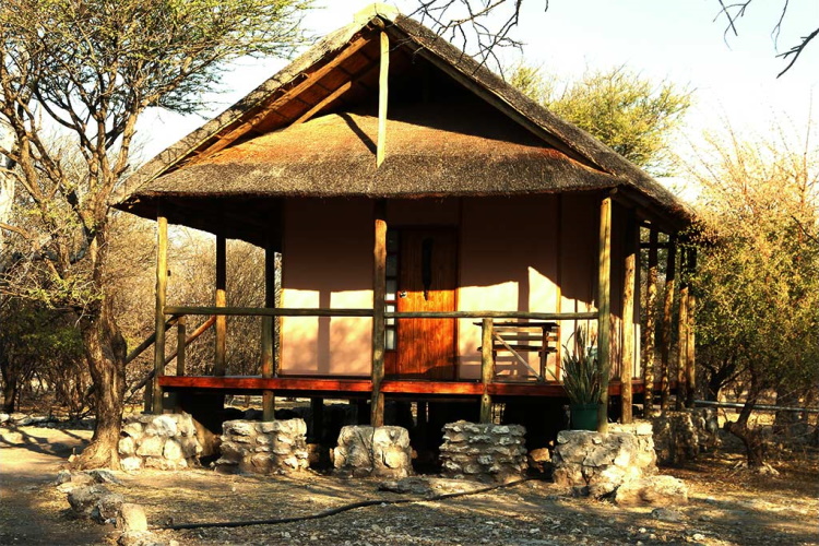 thakadu 003.jpg