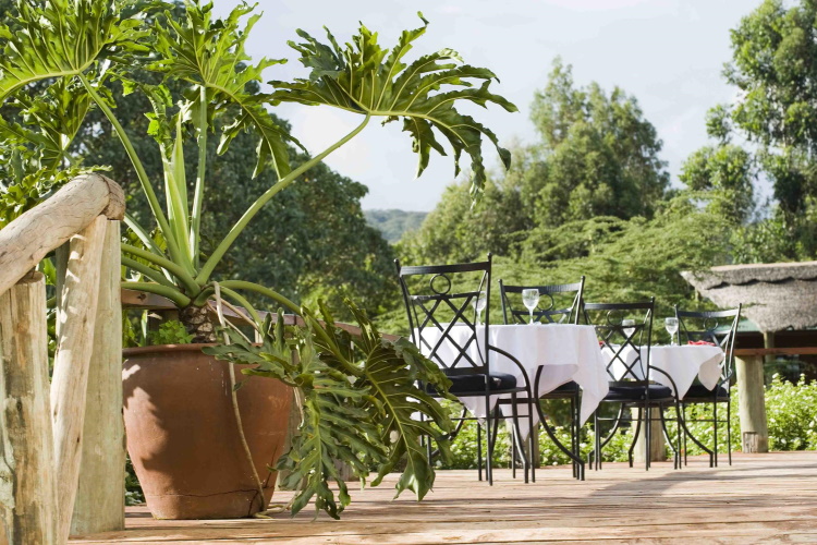 tloma lodge restaurant.jpg
