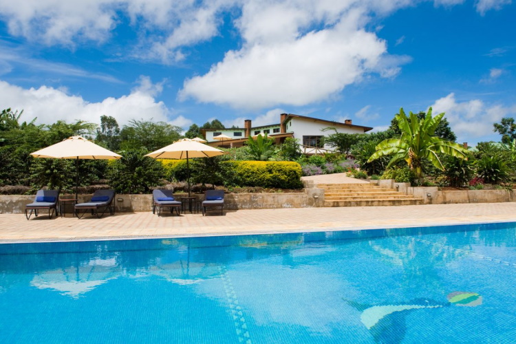 tloma lodge zwembad.jpg