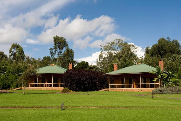 tloma lodge terrein.jpg