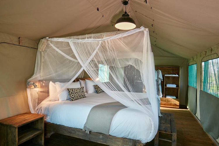 mogogelo camp tent binnen.jpg