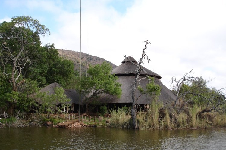 hippo boma from the water.jpg