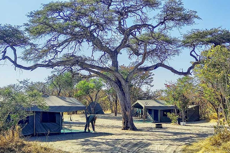 mankwe adventure camp terrein.webp