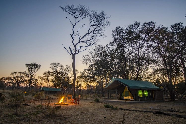 camp silwane tented tent bij kampvuur.webp