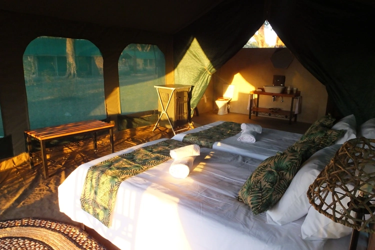 camp silwane tented binnenkant tent.webp
