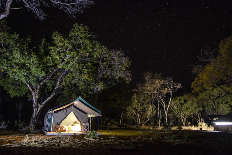 camp silwane tented tent in de avond.webp