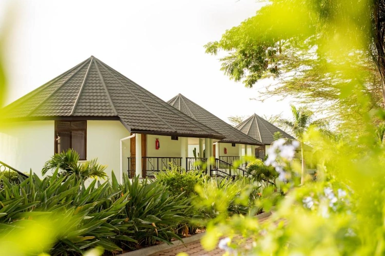 forest hill hotel huisjes.webp