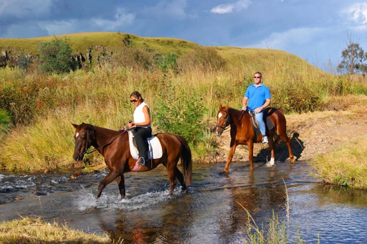 premier sani pass resort activiteiten.webp