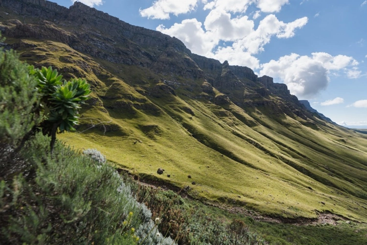 sani pass 011.webp
