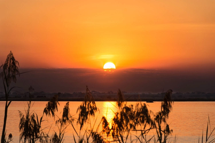 blue zebra island lodge 014.webp