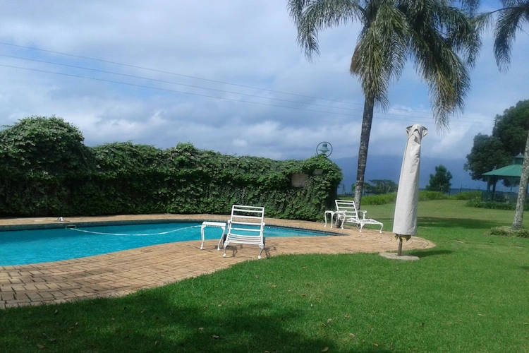 sherwood's country house zwembad.webp