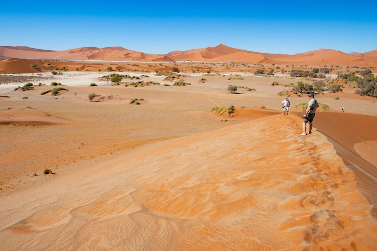 groepsreis kleine groepen namibie sossusvlei de olifantenroute van windhoek tot victoria falls 10011.webp