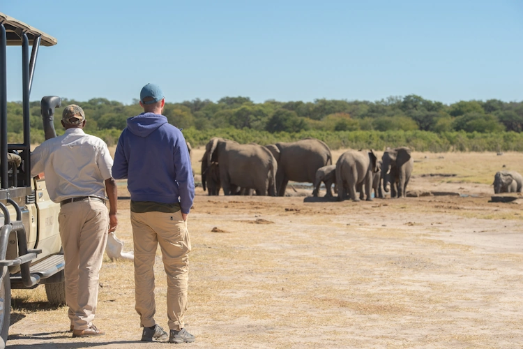 oude wegen door zimbabwe & zambia sunway zimbabwe hwange np 20008.webp