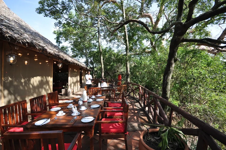 fig tree camp tent buiten eten.webp