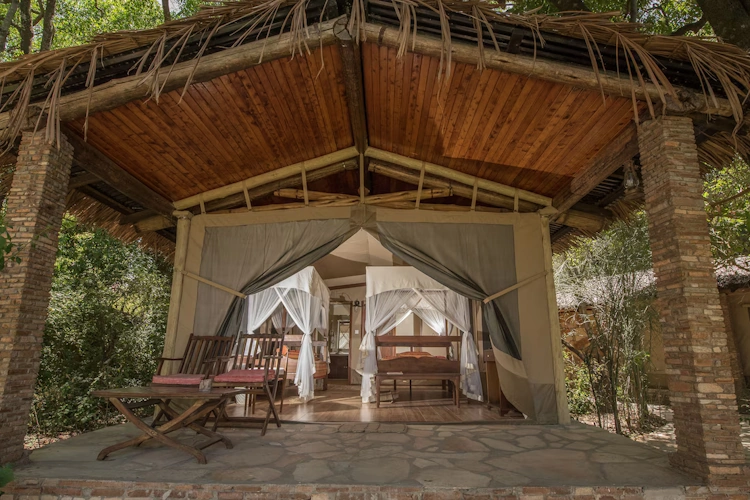 fig tree camp tent terras.webp