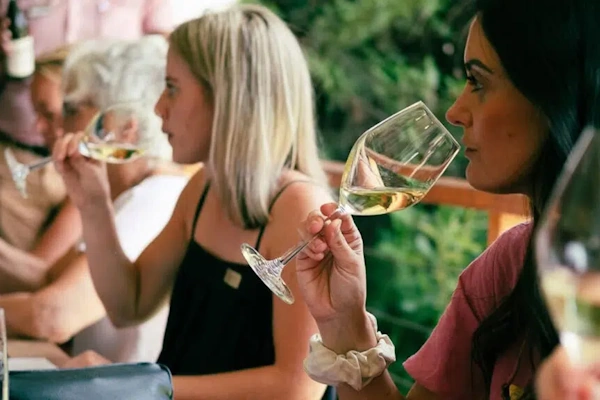 Begeleide Franschhoek Wine Tram Experience.webp
