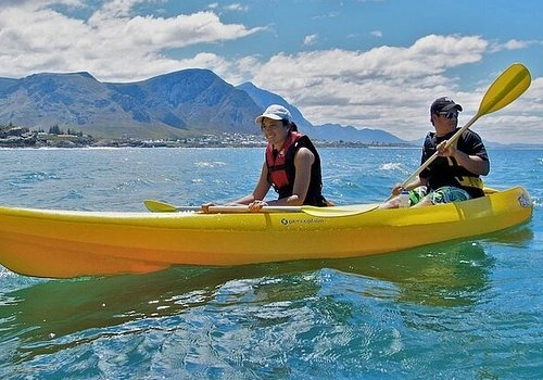 Adventure Combo - Half Day Cruise & Kayak.webp