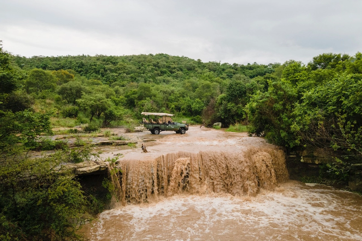 Sasi Bush Lodge Game drives summer 001.webp