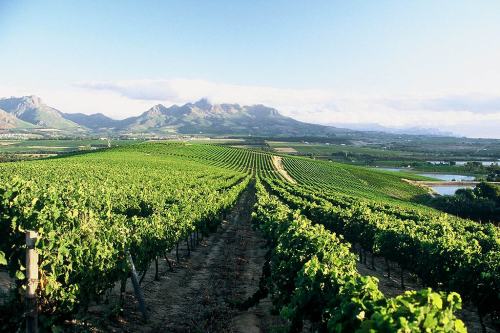 Winelands