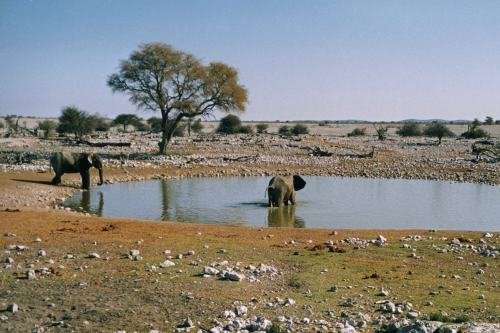 Klik op de afbeelding voor een vergroting gobabis