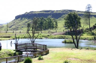 Oak Tree Lodge at The Old Hatchery