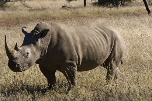 Klik op de afbeelding voor een vergroting Rondreis Namibie - Namibie in vogelvlucht - autorondreis dag 08